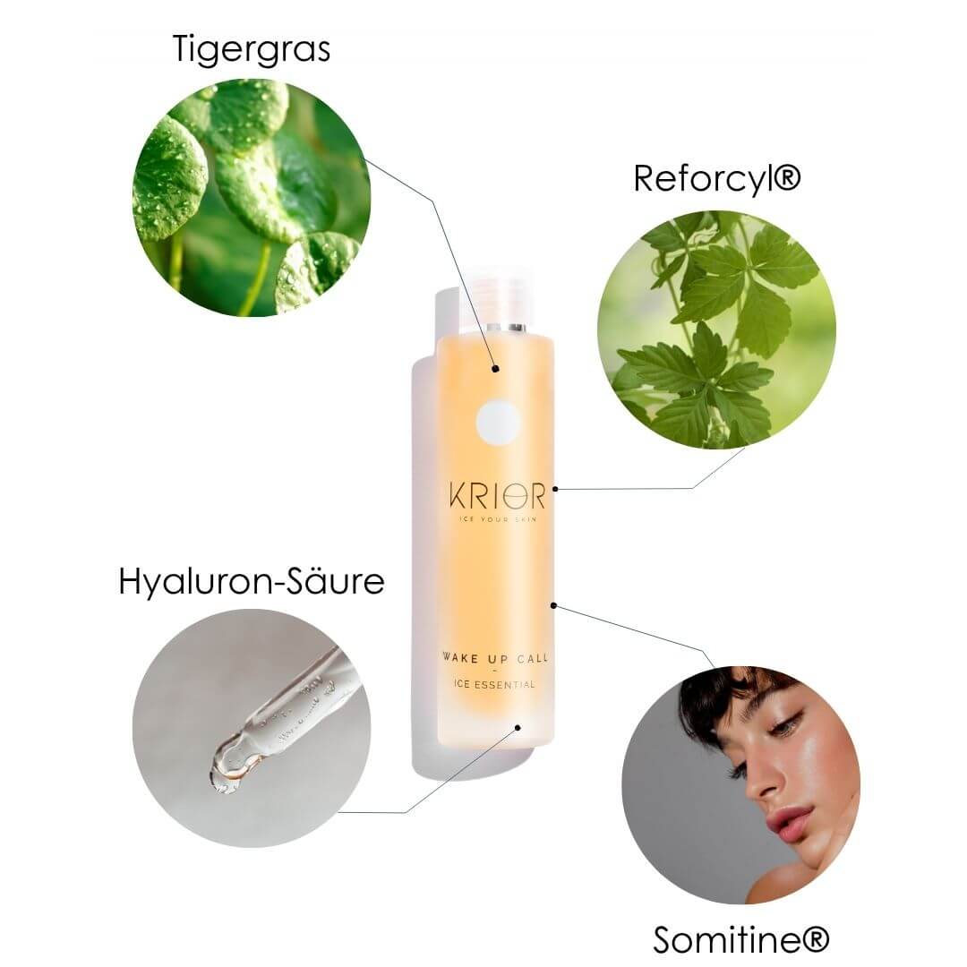 Kraut der Unsterblichkeit